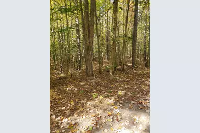 11326 Berg Road, Kaleva, MI 49645 - Photo 7