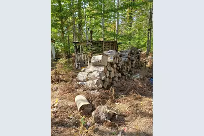 11326 Berg Road, Kaleva, MI 49645 - Photo 23