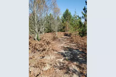 11326 Berg Road, Kaleva, MI 49645 - Photo 49