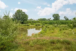 568 Ivyland St, Ann Arbor, MI 48108 - Photo 45