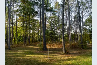 19768 Lincoln Road, Stanwood, MI 49346 - Photo 29