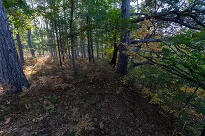 19768 Lincoln Road, Stanwood, MI 49346 - Photo 27