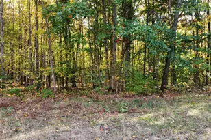 0 Vl 105th Ave, Allegan, MI 49010 - Photo 1