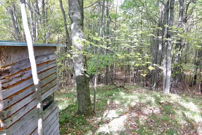 V/L S Bonney Road, Chase, MI 49623 - Photo 19