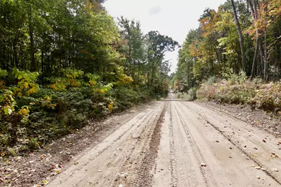 V/L S Bonney Road, Chase, MI 49623 - Photo 27