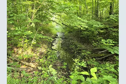 Vl Cedar Creek Road, Delton, MI 49046 - Photo 21