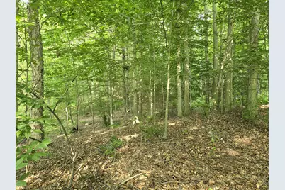 Vl Cedar Creek Road, Delton, MI 49046 - Photo 11