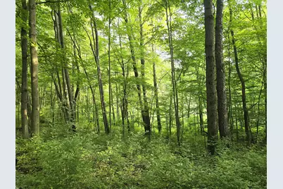 Vl Cedar Creek Road, Delton, MI 49046 - Photo 19
