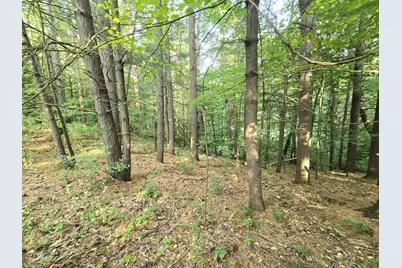 Vl Cedar Creek Road, Delton, MI 49046 - Photo 17