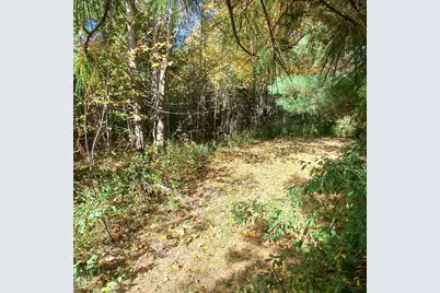 County Road 378, Covert, MI 49043 - Photo 3
