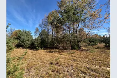 V/L 40A Manales Road, Scottville, MI 49454 - Photo 23