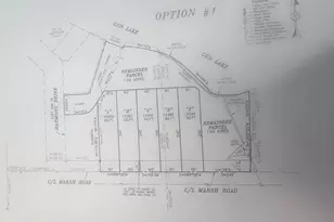 V/L S Marsh Rd, Shelbyville, MI 49344 - Photo 1