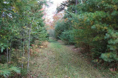 3781 S Cruzen Road, Mikado, MI 48745 - Photo 79