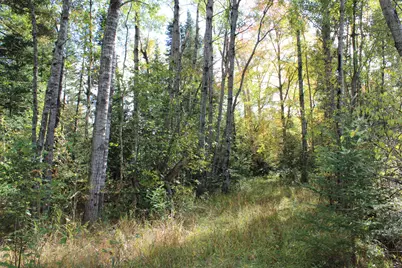 3781 S Cruzen Road, Mikado, MI 48745 - Photo 89