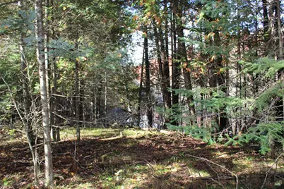 3781 S Cruzen Road, Mikado, MI 48745 - Photo 87