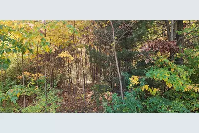 0 E Riley-Thompson Road, Muskegon, MI 49445 - Photo 3