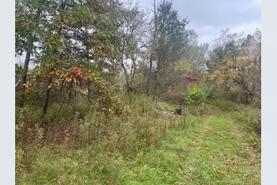 1378 E Main Street, Lowell, MI 49331 - Photo 5