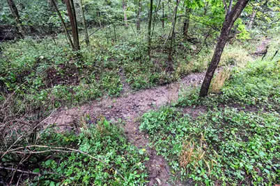 Vl 22 Mile Road, Homer, MI 49245 - Photo 3