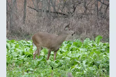 Vl 22 Mile Road, Homer, MI 49245 - Photo 63