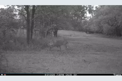 Vl 22 Mile Road, Homer, MI 49245 - Photo 53