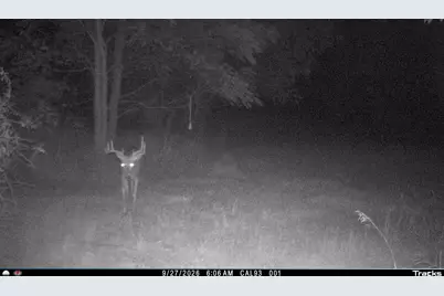 Vl 22 Mile Road, Homer, MI 49245 - Photo 47