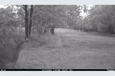 Vl 22 Mile Road, Homer, MI 49245 - Photo 41