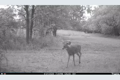 Vl 22 Mile Road, Homer, MI 49245 - Photo 51