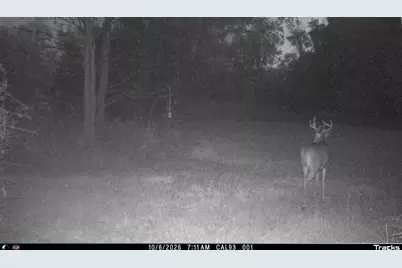 Vl 22 Mile Road, Homer, MI 49245 - Photo 45