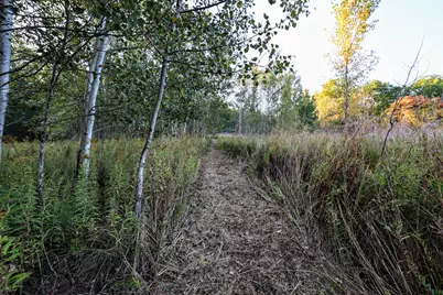 Vl 22 Mile Road, Homer, MI 49245 - Photo 7