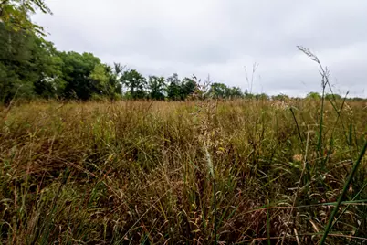 Vl 22 Mile Road, Homer, MI 49245 - Photo 37