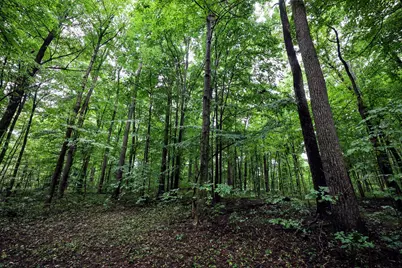 Vl 22 Mile Road, Homer, MI 49245 - Photo 9