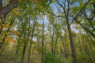 436 Stauffer Dr, Hastings, MI 49058 - Photo 47
