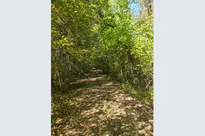 Spring Arbor Road, Concord, MI 49237 - Photo 5