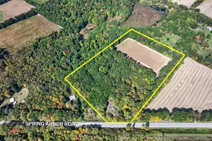 Spring Arbor Rd, Concord, MI 49237 - Photo 1