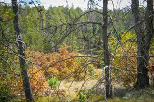 23646 W 12 Mile Rd, Wellston, MI 49689 - Photo 47