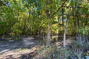 1700 Fowlerville Rd, Fowlerville, MI 48836 - Photo 59