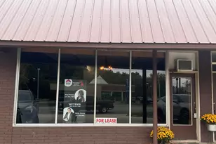1003 W Main St, Fremont, MI 49412 - Photo 1