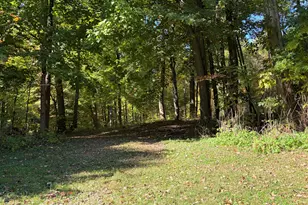 2456 E Chicago Rd, Jonesville, MI 49250 - Photo 59