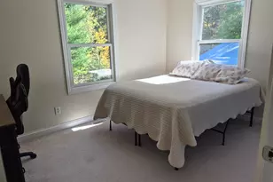 1312 Pine Hill Trail, Stanton, MI 48888 - Photo 17