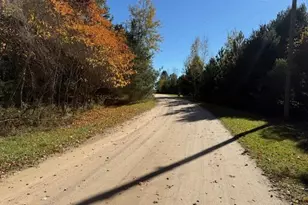 1312 Pine Hill Trail, Stanton, MI 48888 - Photo 25
