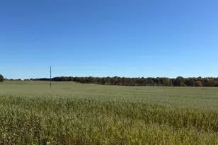1312 Pine Hill Trail, Stanton, MI 48888 - Photo 23