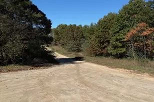 1312 Pine Hill Trail, Stanton, MI 48888 - Photo 21