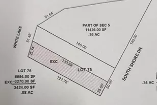 S Shore Dr, Whitehall, MI 49461 - Photo 1