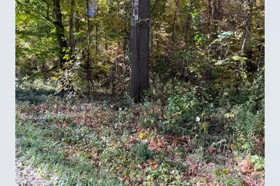 Warner Avenue #Parcel B, Fremont, MI 49412 - Photo 3