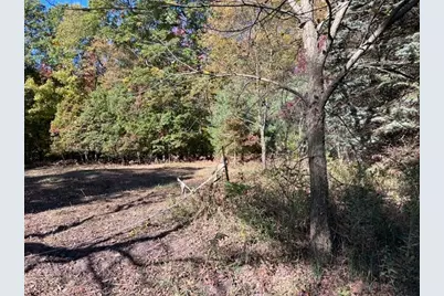 Warner Avenue #Parcel B, Fremont, MI 49412 - Photo 5