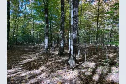 Warner Avenue #Parcel B, Fremont, MI 49412 - Photo 9