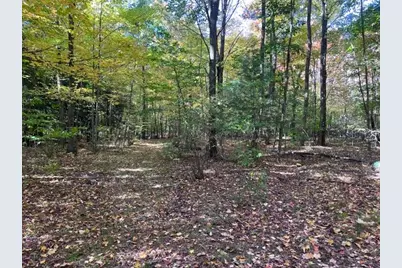 Warner Avenue #Parcel B, Fremont, MI 49412 - Photo 17