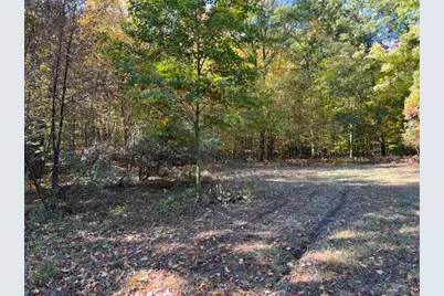 Warner Avenue #Parcel B, Fremont, MI 49412 - Photo 11