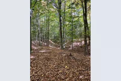 Warner Avenue #Parcel C, Fremont, MI 49412 - Photo 21