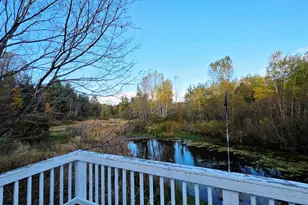 11640 W Deerfield Rd, Remus, MI 49340 - Photo 5